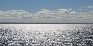 Domingo de Resurrección: somos libres Domingo de Resurrección