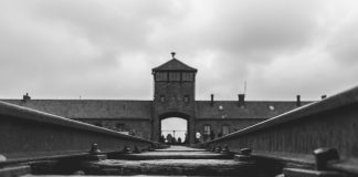 ¿Eran los nazis realmente socialistas?