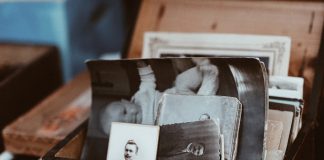 La tarea de conservar