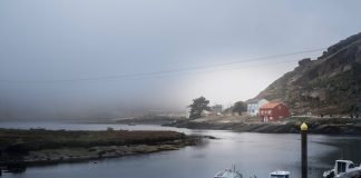 Mañana en el muelle