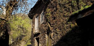 Metafísica del arraigo Metafísica del arraigo