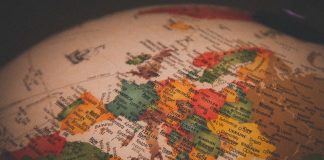 El cóctel genético de la globalización