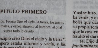 Feminidad y masculinidad: una aproximación teológica
