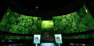 El dragón verde odia a la humanidad