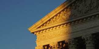 Las flores del árbol de la vida