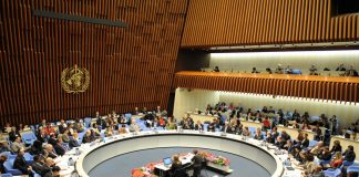 La OMS o cómo deshacerse de todos