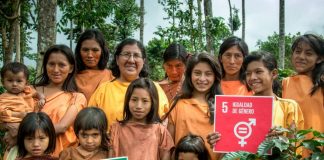 No es la economía, estúpido