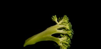 No tendremos nada. Bill Gates, todo