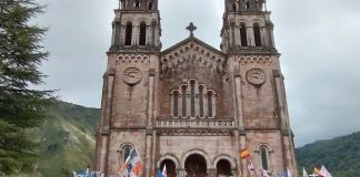 Los verdaderos brotes verdes