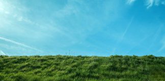 Mañana en la batalla