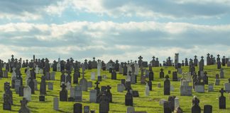 ¿Exceso de mortalidad o genocidio?