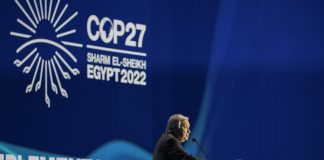 La COP27 y la Alliance of CEO Climate Leaders COP27