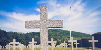 Exceso de muertes orwelliano