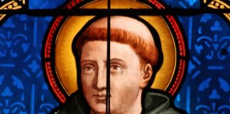 La estupidez es pecado