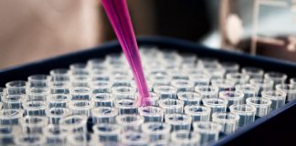 La criatura de Ana Obregón La criatura de Ana Obregón