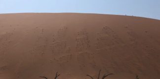 Me quiero morir Me quiero morir