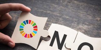 Organizaciones no gubernamentales: las grandes patrocinadoras del crimen transnacional