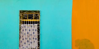 Indigenismo para principiantes