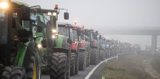 La revuelta de la España real La revuelta de la España real