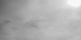 El joven rico El joven rico