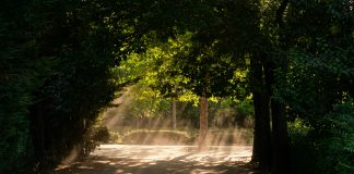 Los lunes al sol Los lunes al sol