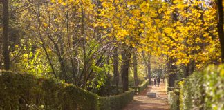 Si Adelita se fuera con otro Si Adelita se fuera con otro