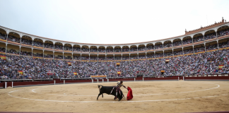 Tendidos de recuerdos Día Internacional de la Tauromaquia