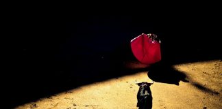 Urtasun no es nadie Urtasun no es nadie