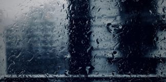 Elogio de la penumbra Elogio de la penumbra