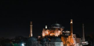 Cuando los pájaros dejan de cantar