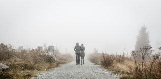 La maquinaria de los sueños