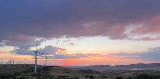 Quien tiene pueblo tenía un tesoro Quien tiene pueblo tenía un tesoro