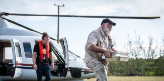 Idiotas intelectuales Idiotas intelectuales