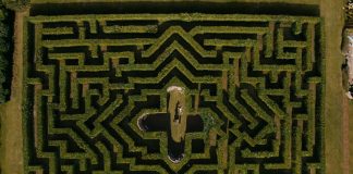 Jardineros de septiembre