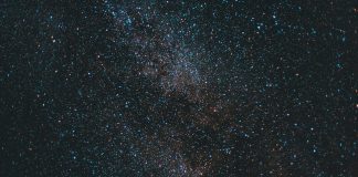 El asombro y la intemperie