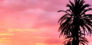 Trocar el cielo Trocar el cielo