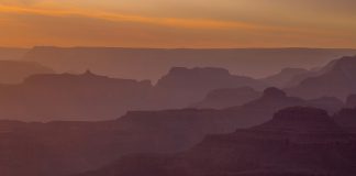 La belleza duele La belleza duele