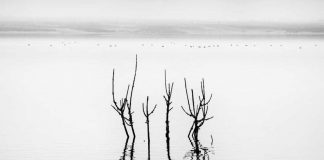 Preciosamente triste