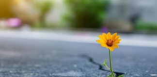 De lo peor, lo mejor