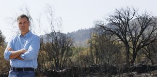 Día Mundial de la Prevención de Incendios Forestales: cainismo nacional Día Mundial de la Prevención de Incendios Forestales