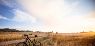 Bazares de recuerdos Veranos de juventud