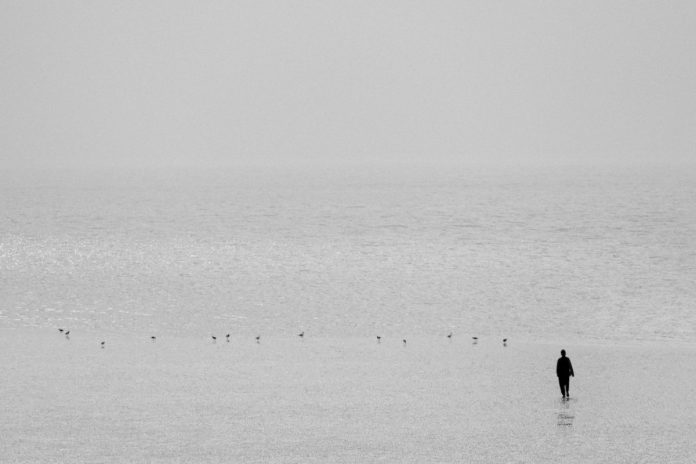 Introspección