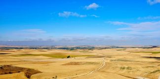 Lecturas reincidentes Releer