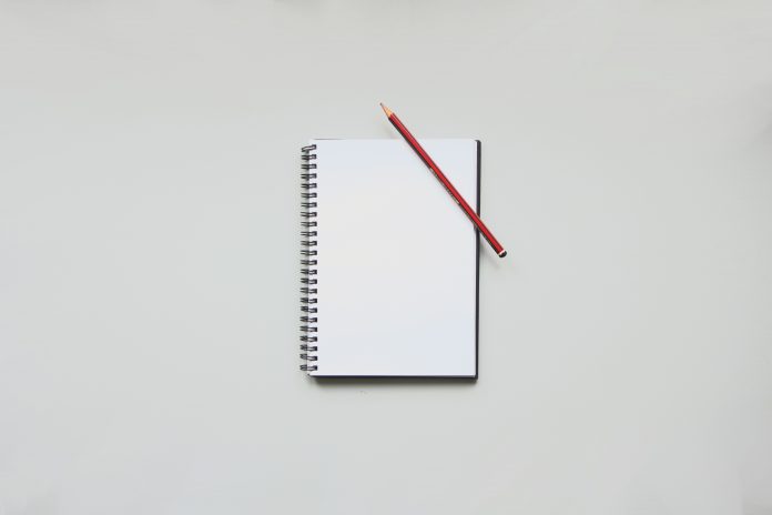 Otra imbécil que escribe