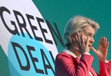 El Green Deal frente al New Deal (y II): el fracaso del Pacto Verde Europeo Green Deal
