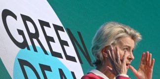 El Green Deal frente al New Deal (y II): el fracaso del Pacto Verde Europeo Green Deal