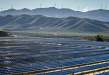 La muerte lenta del campo español: sólo uno de cada doce agricultores es menor de 40 años La muerte lenta del campo español