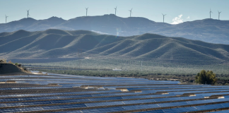 La muerte lenta del campo español: sólo uno de cada doce agricultores es menor de 40 años La muerte lenta del campo español
