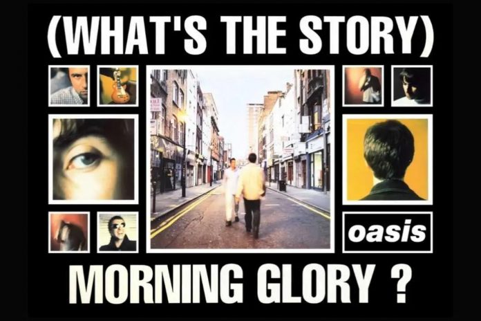 Morning Glory