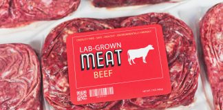 El poder de la propaganda verde: un 35% de los europeos ya acepta comer carne falsa un 35 % de los europeos ya acepta comer carne falsa